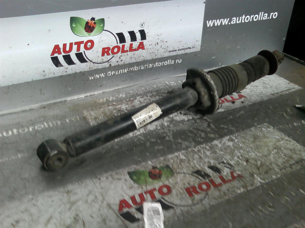 amortizor+arc+flansa spate Ford Escort 4