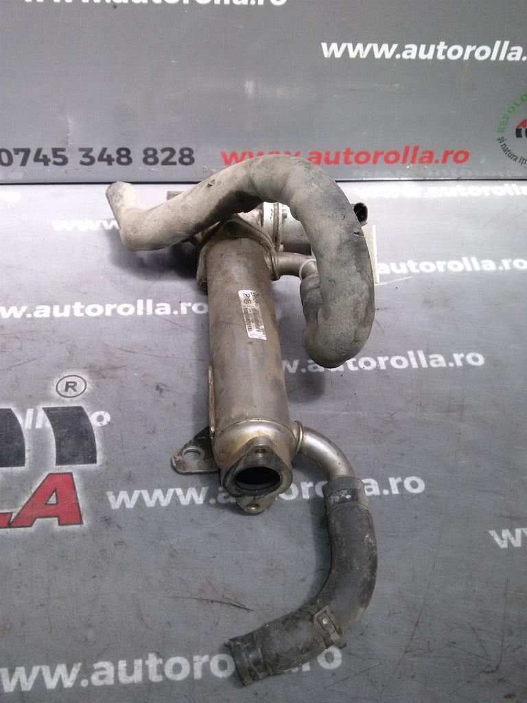 egr Hyundai Santa Fe 2.2D, an 2008