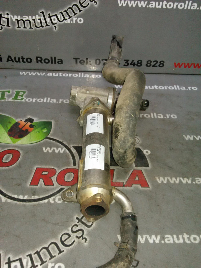 egr Hyundai Santa Fe 2.2CRDI, an 2010, automata