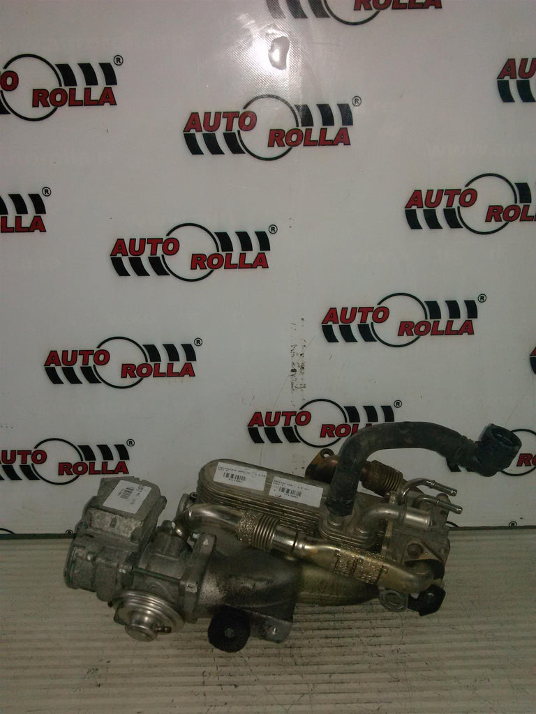 egr si galerie admisie Volkswagen Golf 5, 1.9TDI