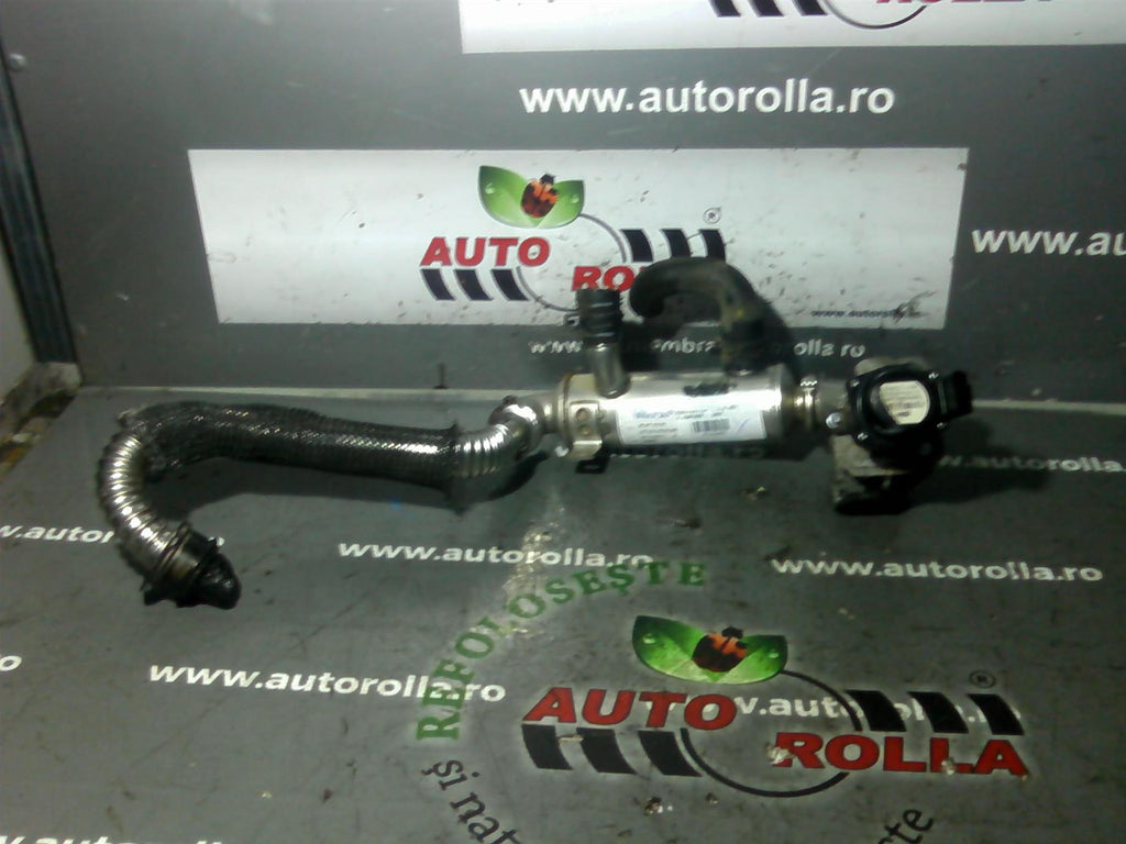 egr si racitor Peugeot Partner 1.6HDI, an 2007