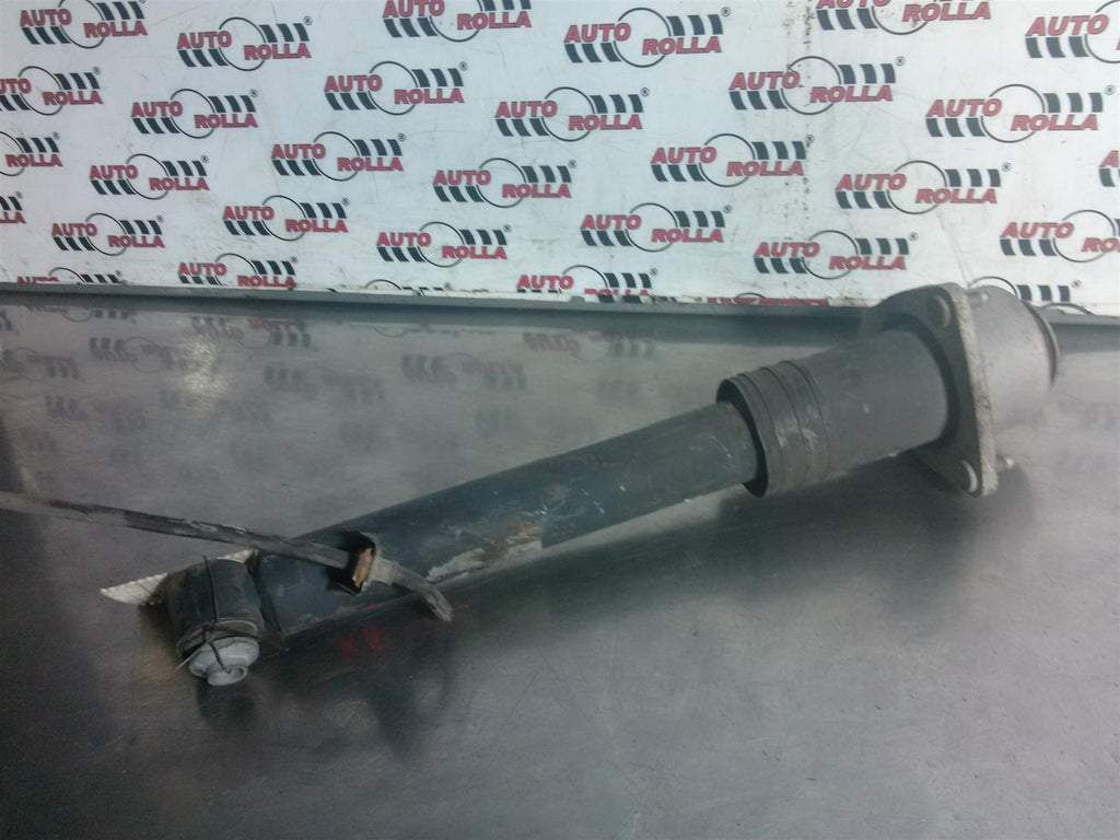 Amortizor spate stanga BMW x5