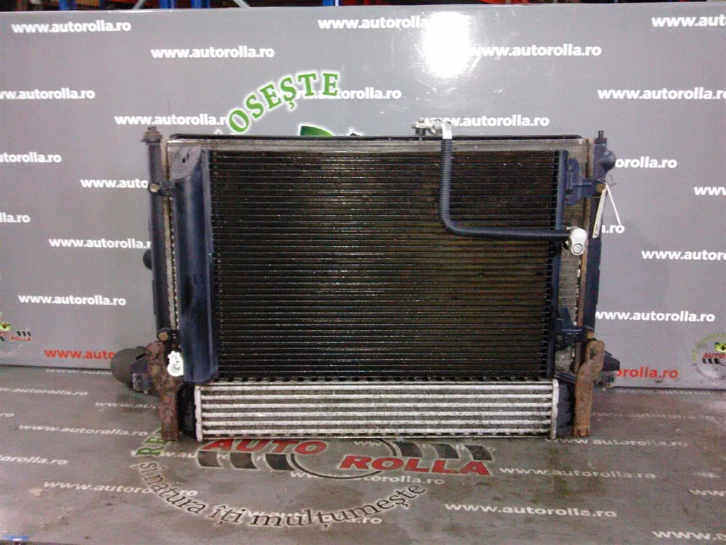 Radiator apa Ford Galaxy 1.9d