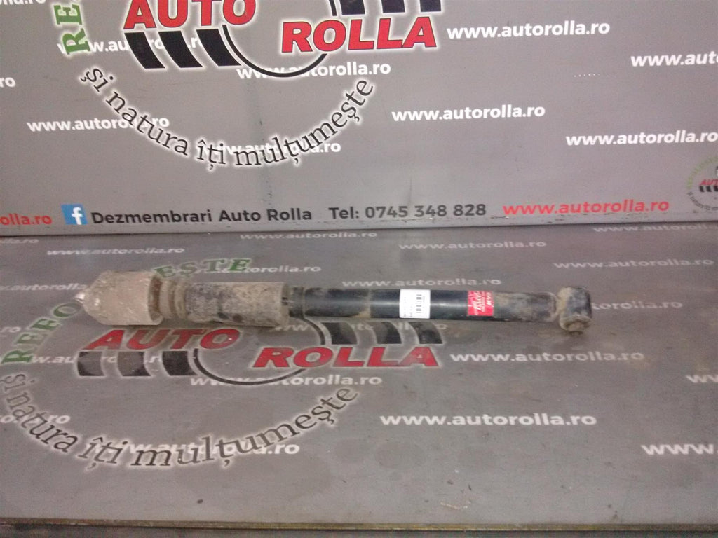 Amortizor spate Skoda Superb