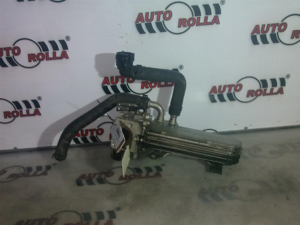 EGR Volkswagen Golf 5 1.9  cod bkc