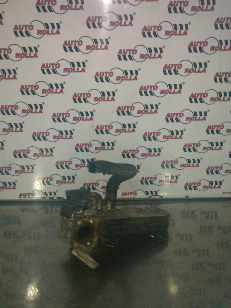 Racitor EGR Volkswagen Golf 5, 1.9 tdi, an 2006, BKC