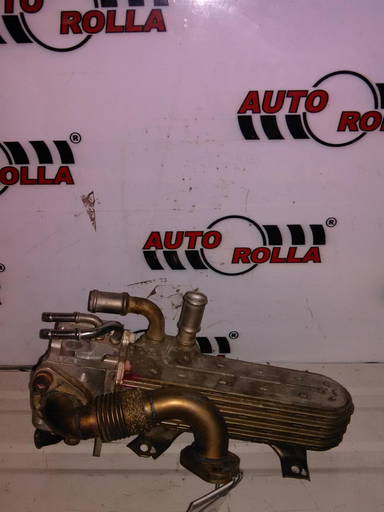 EGR + racitor Volkswagen Passat 1.9 TDI an 2003