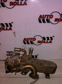 EGR + racitor Volkswagen Passat 1.9 TDI an 2003
