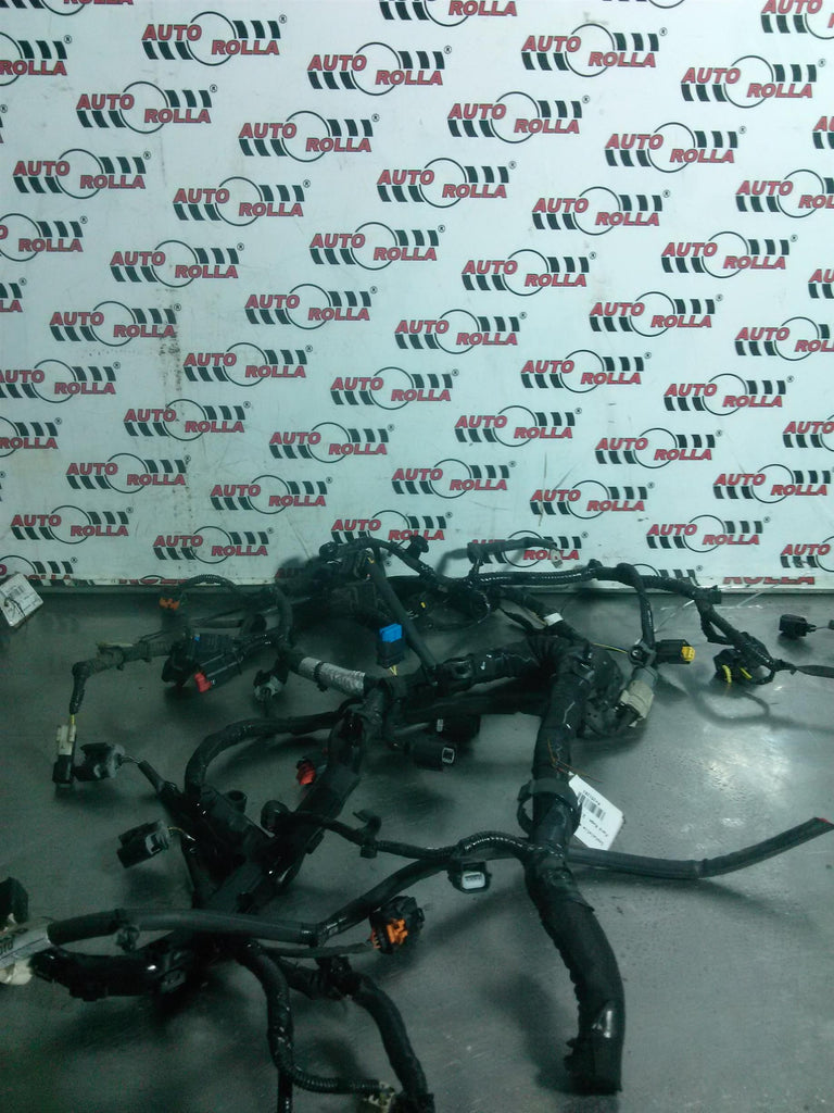 Instalatie electrica Ford Kuga, 2.0D, an 2018
