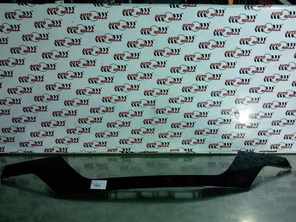 Ornament haion BMW X3, E83 2.0 d, an 2007, 204D4