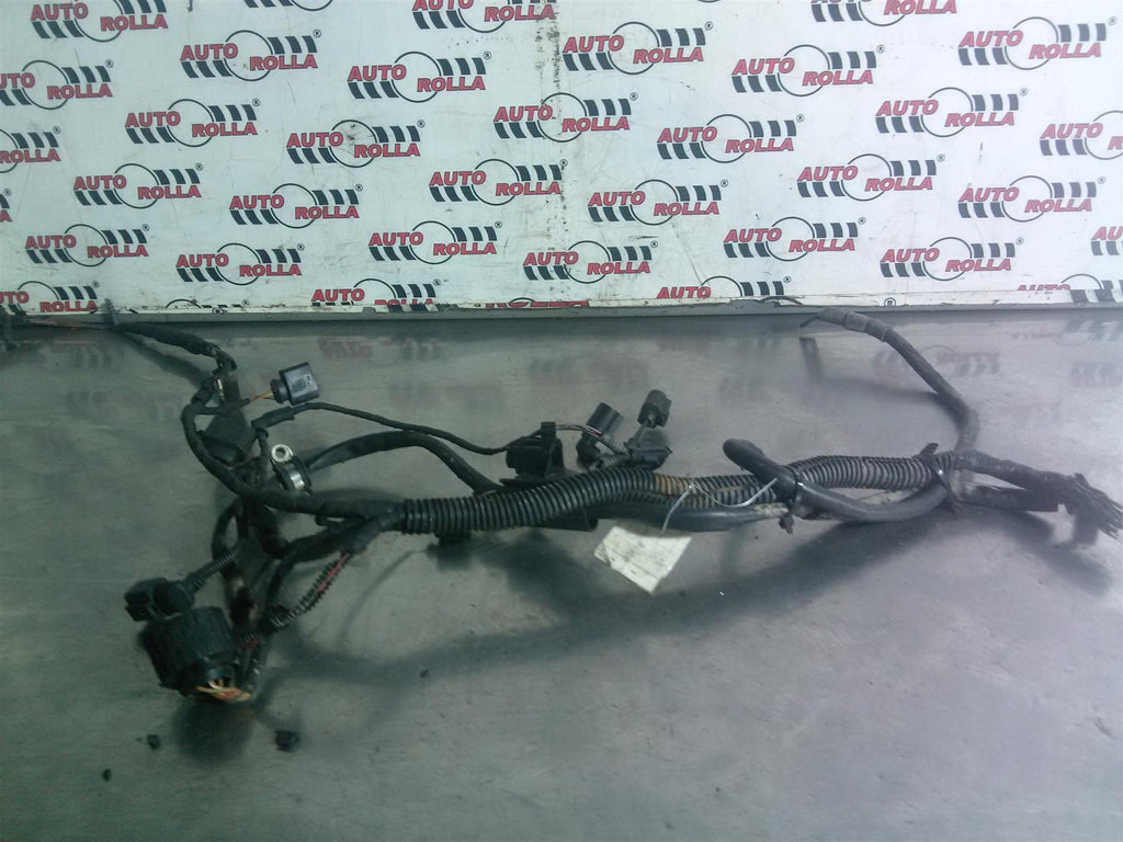 Instalatie motor Skoda Octavia 2, 1.9 tdi, an 2008, break.