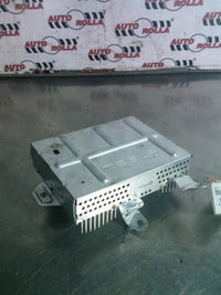 Amplificator audio Tesla Model Y