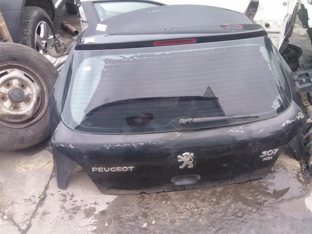 Haion Peugeot 307, an 2006.