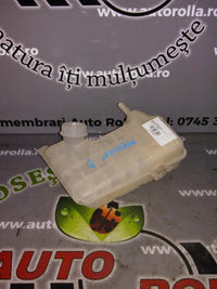 vas expansiune Renault Megane 1.5DCI