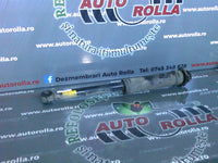 amortizor spate complet Chevrolet Kalos, an 2006
