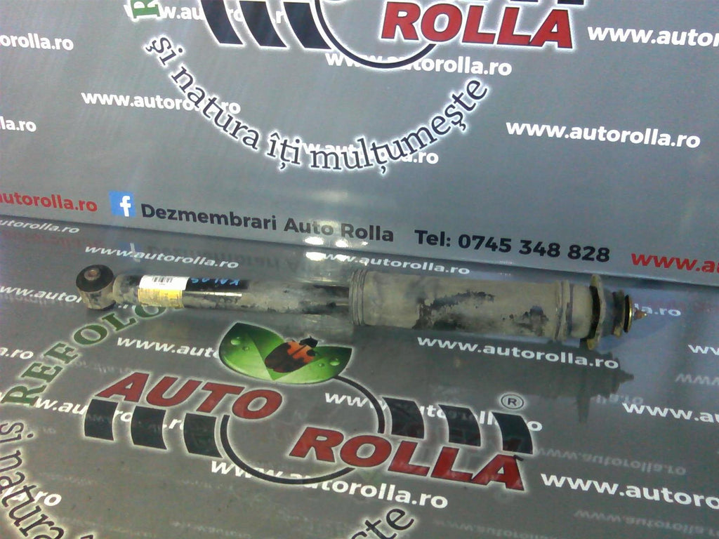 amortizor spate complet Chevrolet Kalos, an 2006
