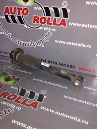 amortizor spate+flansa BMW X5 E53, an 2003