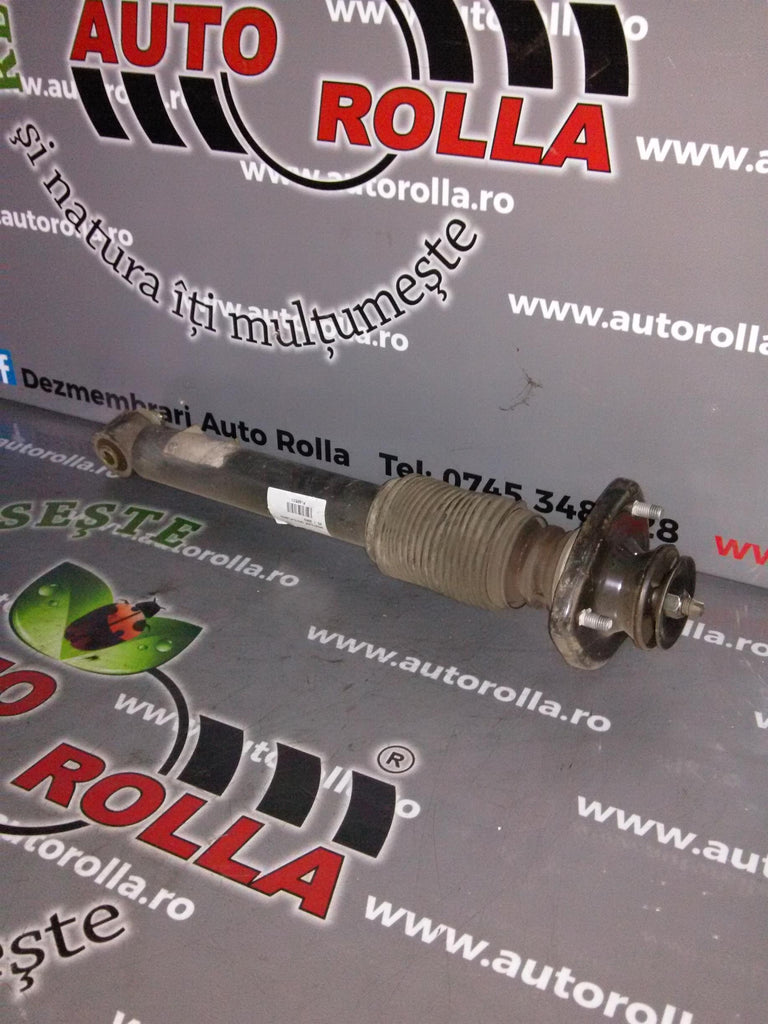 amortizor spate+flansa BMW X5 E53, an 2003