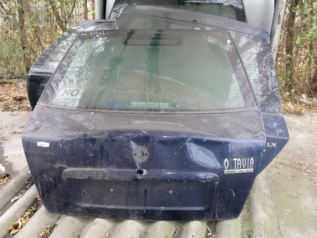 haion lovit Skoda Octavia 1