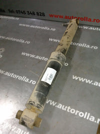 amortizor spate Renault Megane