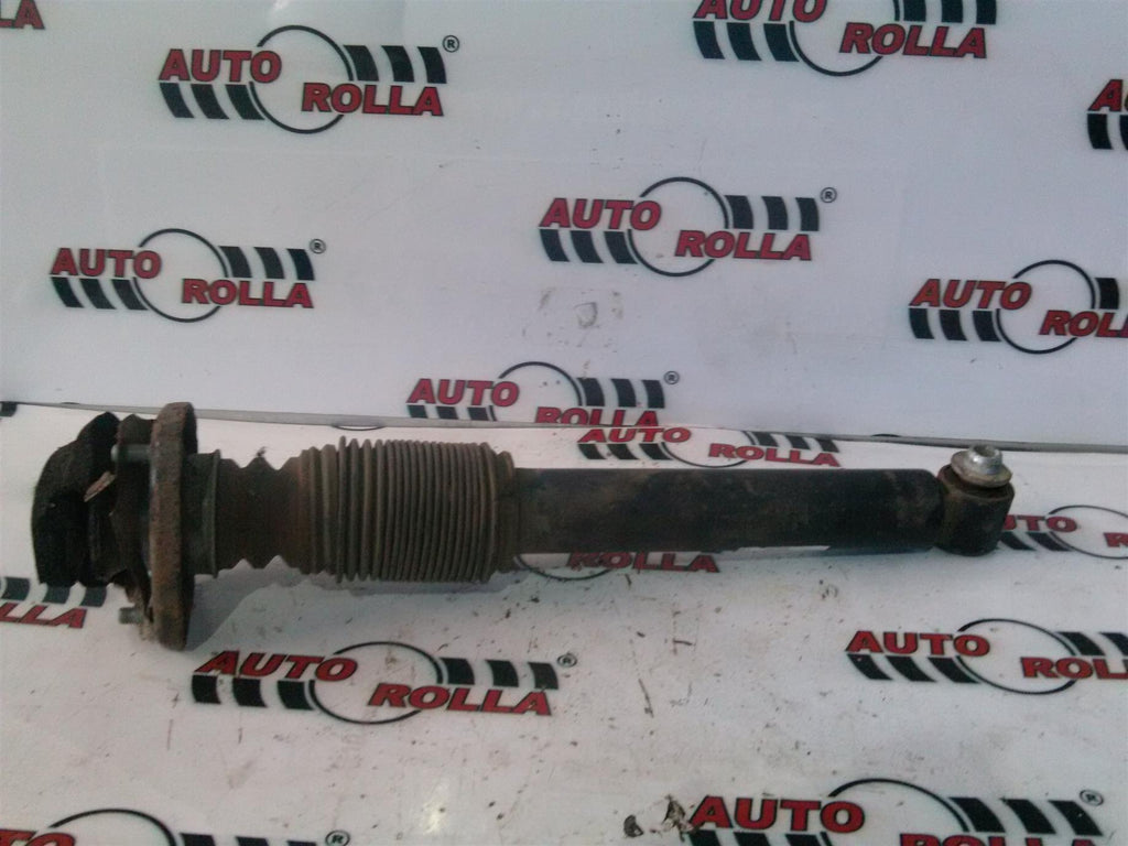amortizor spate+flansa BMW X5 E53
