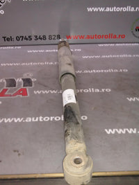 amortizor spate Dacia Logan