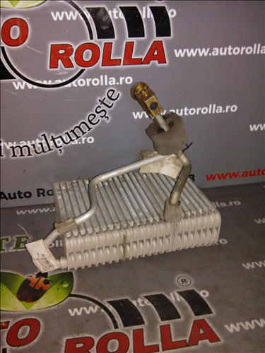 vaporizator ac Renault Megane