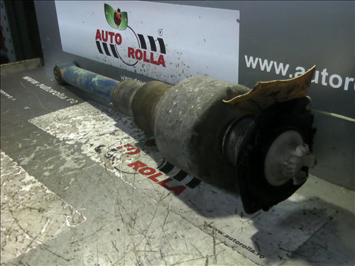amortizor spate pe aer Volkswagen Passat B4