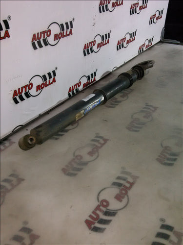 amortizor si flansa spate Peugeot 3008, an 2010