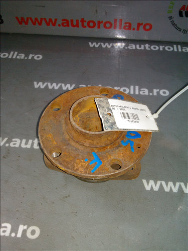 butuc si rulmenti roata spate Audi A6, an 2005