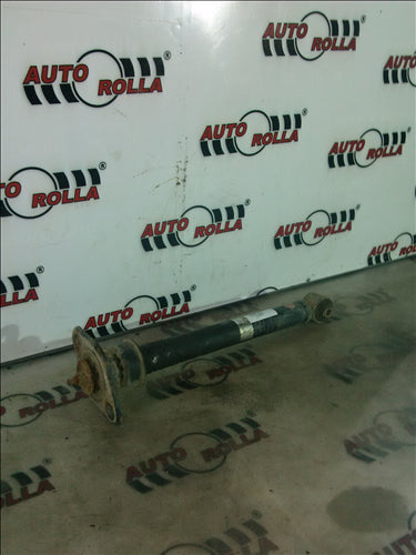 amortizor spate Hyundai Accent, an 2006