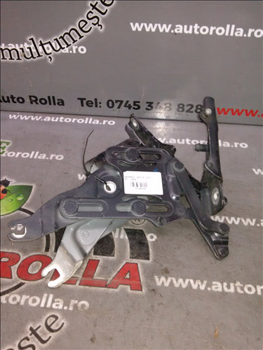 balamale capota fata BMW X5 E70, an 2008