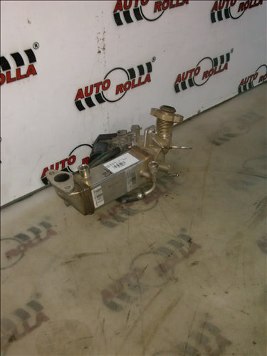 egr si racitor BMW E91, 2.0D an 2010