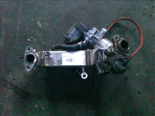 egr si racitor BMW E91 2.0D an 2010