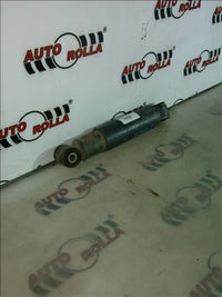 amortizor fata Iveco Stralis