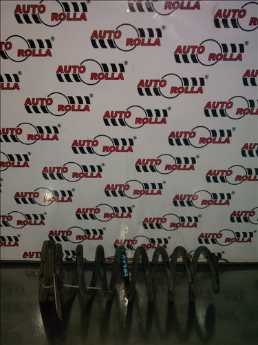 arc spate dreapta Dacia Logan 1.4S, an 2005