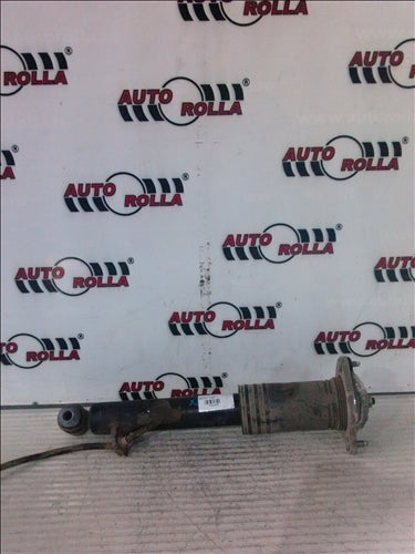 amortizor spate BMW X6 E71, 3.0XD, an 2009