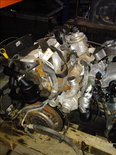 thermoflot motor Ford Focus 1.8TDDI