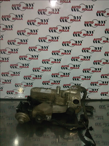 egr si racitor Volkswagen Passat B6, 1.9TDI