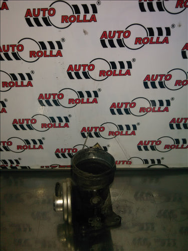 clapeta acceleratie si egr Volkswagen T5, 1.9TDI