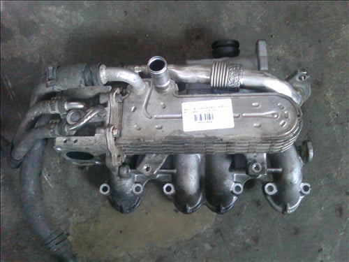 racitor egr si galerie admisie Audi A3 an 2007 1.9TDI