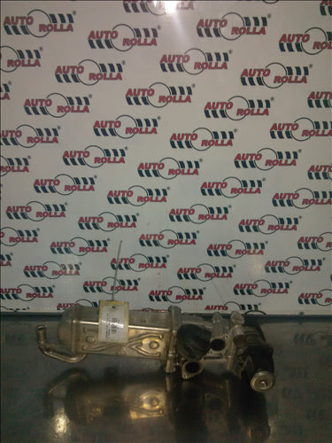 egr si racitor Volkswagen Tiguan 2.0TDI, an 2014