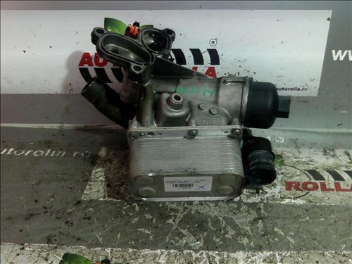 thermoflot motor Nissan Qashqai 2.0DCI an 2012