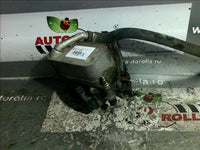 thermoflot motor BMW X5 E70 3.0S an 2008