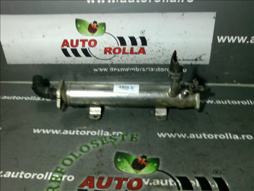 racitor egr Volkswagen Golf 6