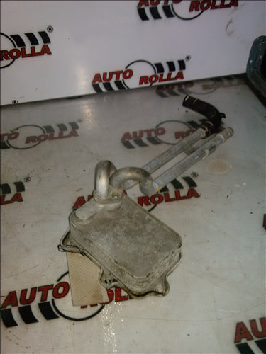 thermoflot motor Volkswagen Golf 5, 1.6FSI