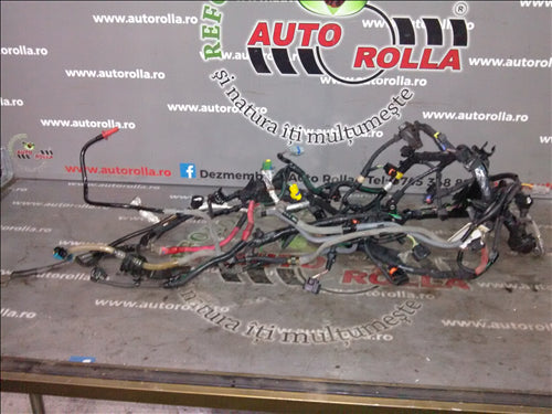 Instalatie electrica Renault Laguna III, 2.0 dCi