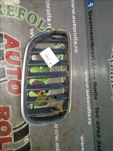 Grila capota dreapta BMW x5 E53 3.0d an 2004