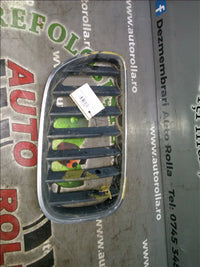 Grila capota dreapta BMW x5 E53 3.0d an 2004