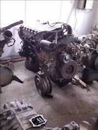 Termoflot Iveco Eurostar Cursor 10